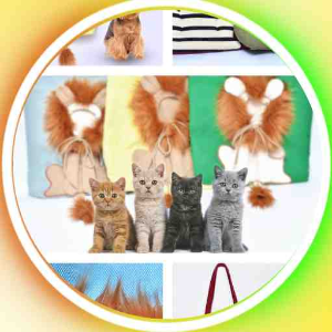 group-circle