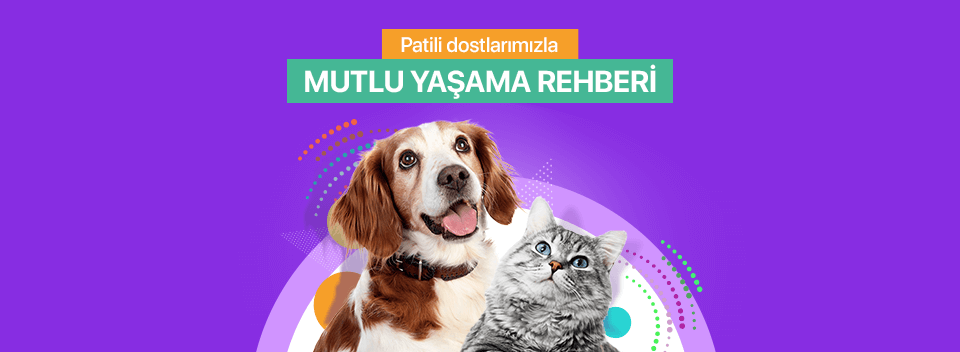 Pet Shop Ürünleri | %28'e varan indirimli Fiyatlar & 6 Taksit