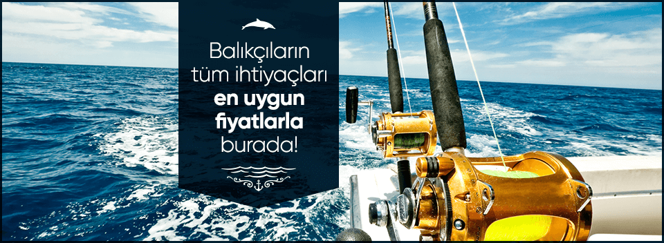 28-04-2017_1493383752269_1