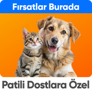 Pet Shop Günleri 