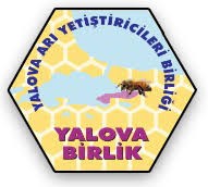 Icon 79