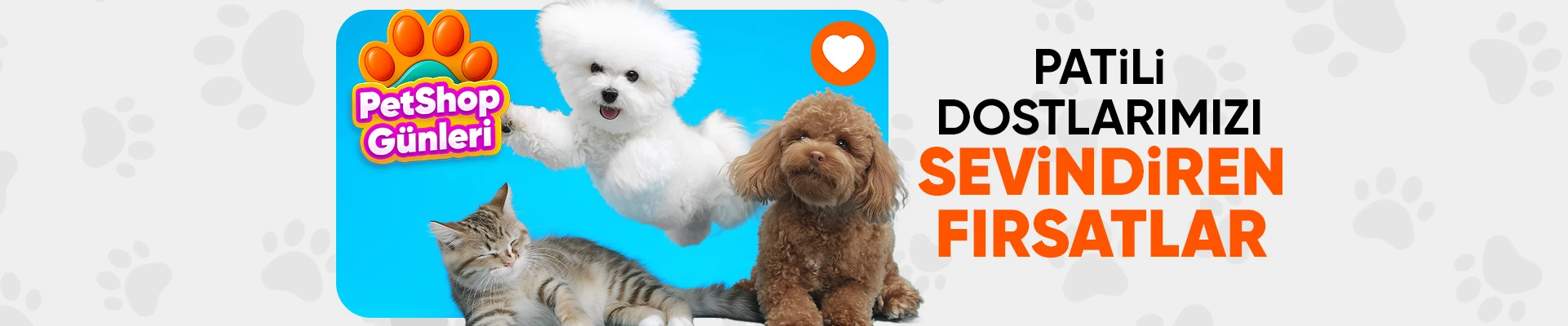 Pet Shop Günleri 