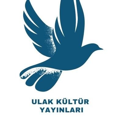 Icon 74