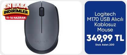 Logitech M170 USB Alıcılı Kablosuz Mouse
