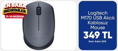 Logitech M170 USB Alıcılı Kablosuz Mouse