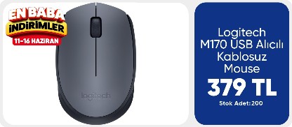 Logitech M170 USB Alıcılı Kablosuz Mouse