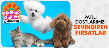 Pet Shop Günleri 