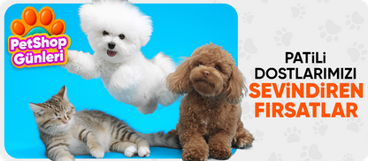 Pet Shop Günleri 