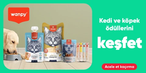 Wanpy Markalı Kedi ve Köpek Ödüllerini Keşfet!