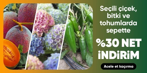 Seçili Çiçek, Bitki ve Tohumlarda Sepette Net %30 İndirim