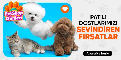 Pet Shop Günleri 