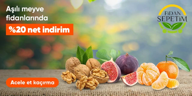 Fidan Sepetim Aşılı Meyve Fidanlarında Net %20 İndirim Fırsatı