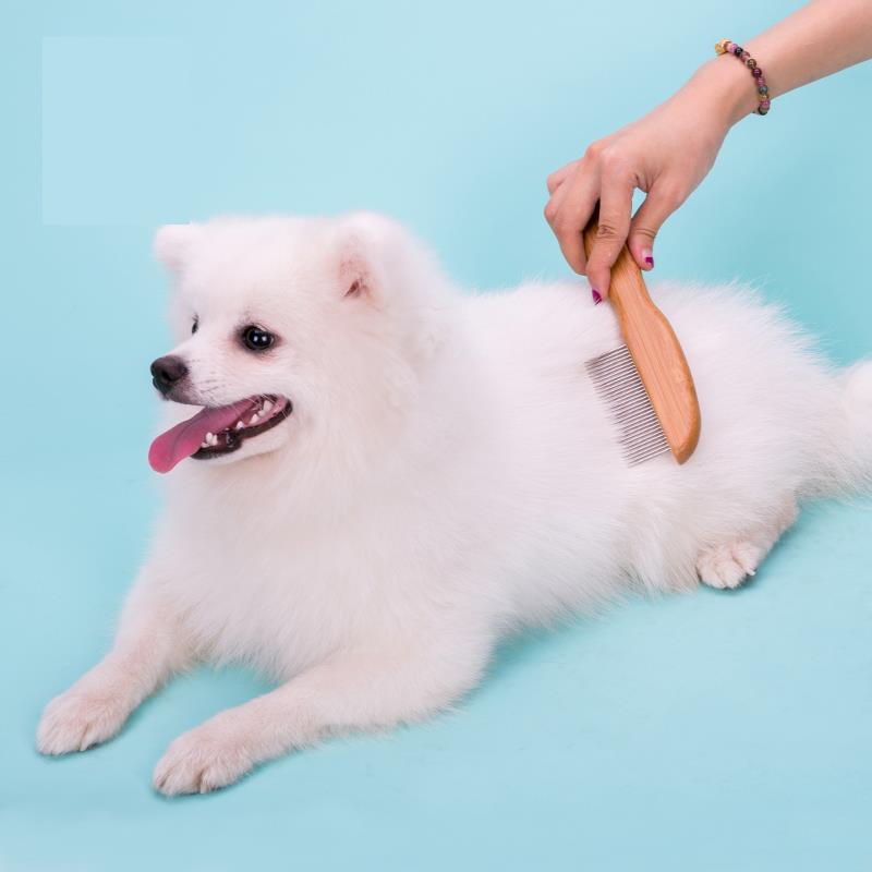 Bambu Köpek Tarağı