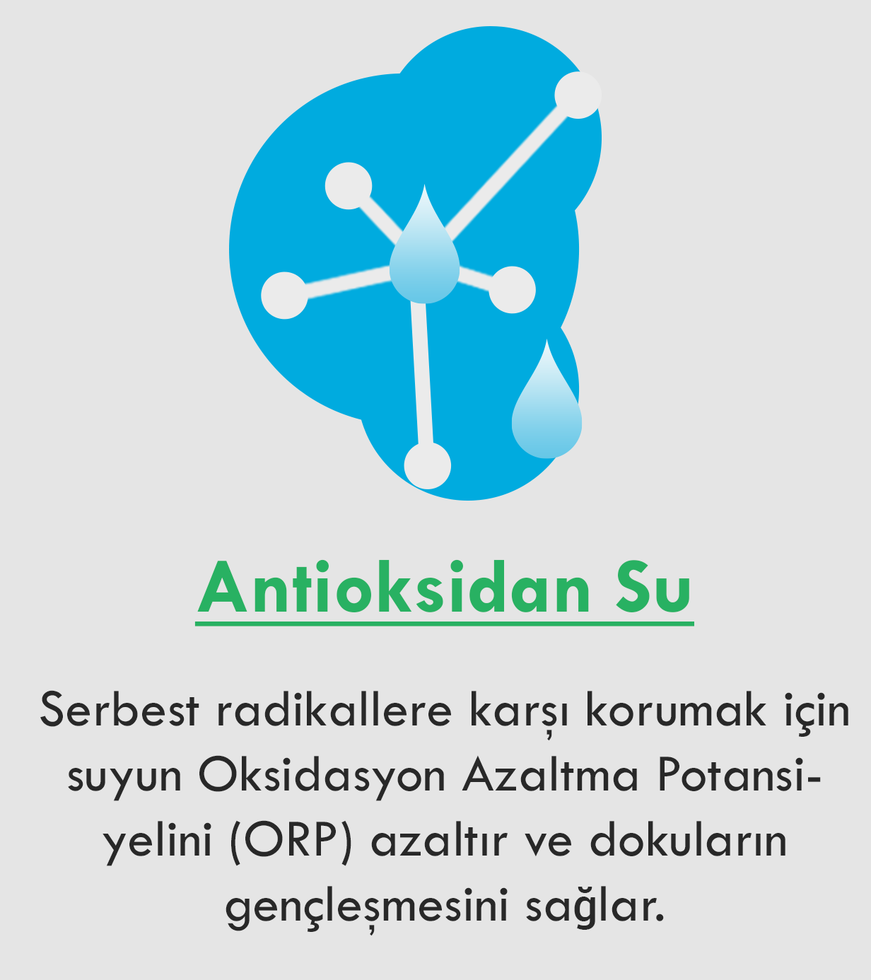 Royal Green Lux Plus Su Arıtma Cihazı Motorsuz Fiyatı