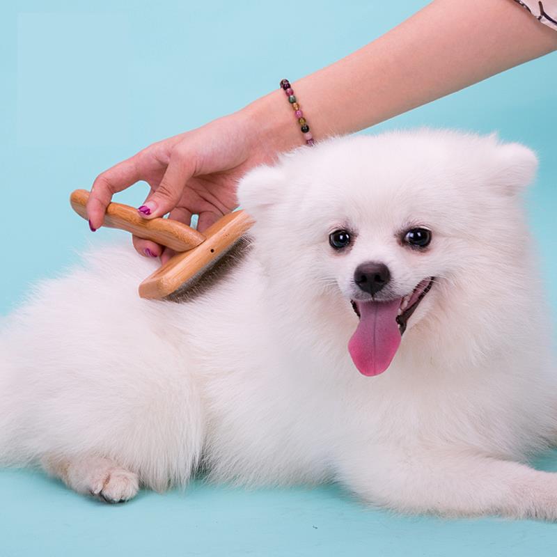 Bambu Kedi-Köpek Tarağı