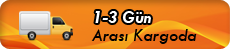 1-3 Gün Arası Kargoda