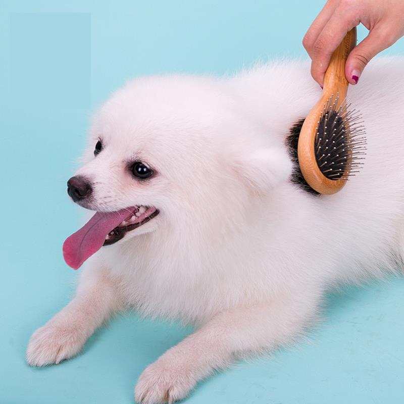 Bambu Kedi-Köpek Fırçası