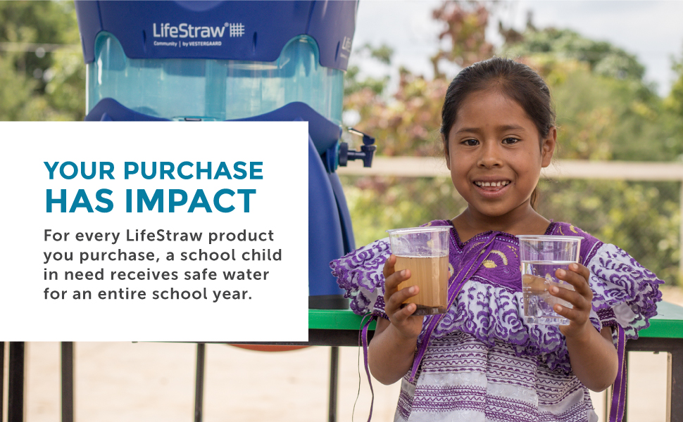 lifestraw impact