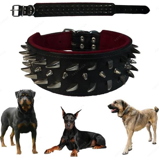 Stella Moda Civili Tasma Kopek Boyun Tasmasi 7 X 77 Cm Fiyati