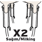 Sagim2
