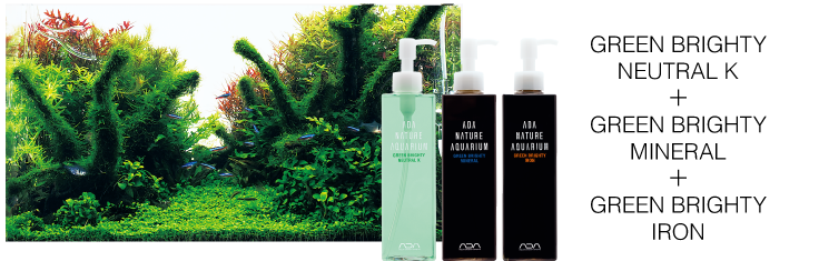 Kurulumdan Sonra Kullanılması Gereken Gübreler