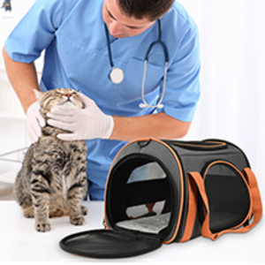kedi taşıyıcı