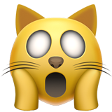 Weary Cat on Apple iOS 14.2