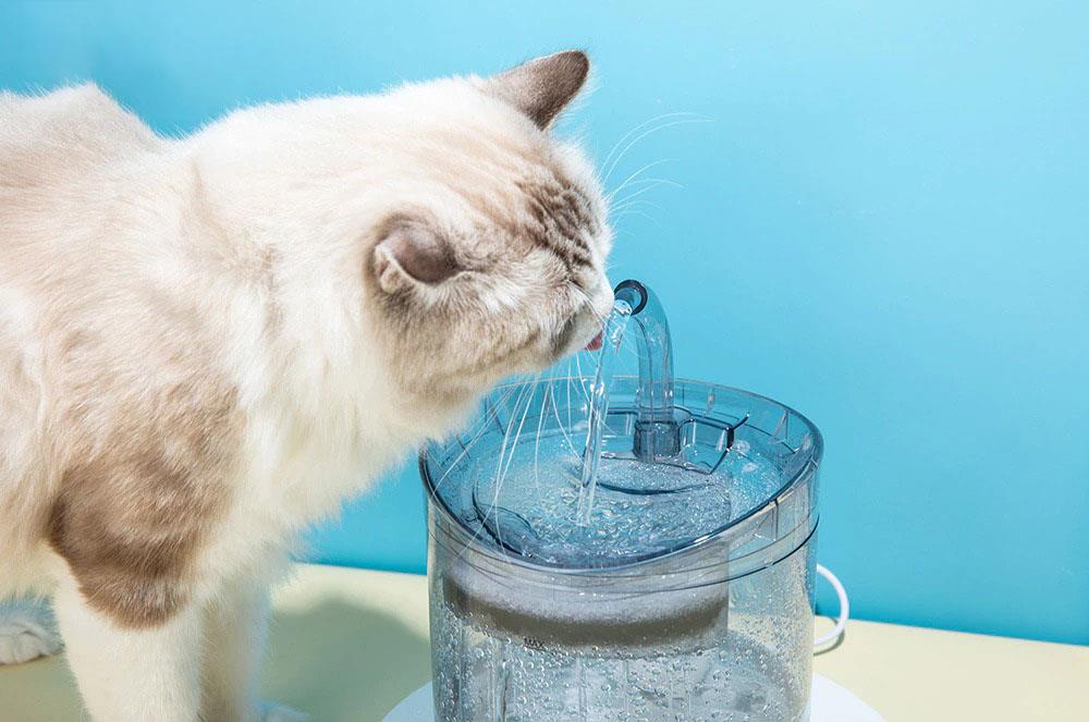 Dailytech Otomatik Pet Kedi Köpek Su Çeşmesi Sebil Musluk Fiyatı