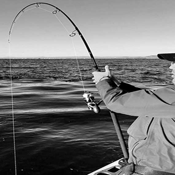 daiwa_x45_teknolojisi.jpg (38 KB)