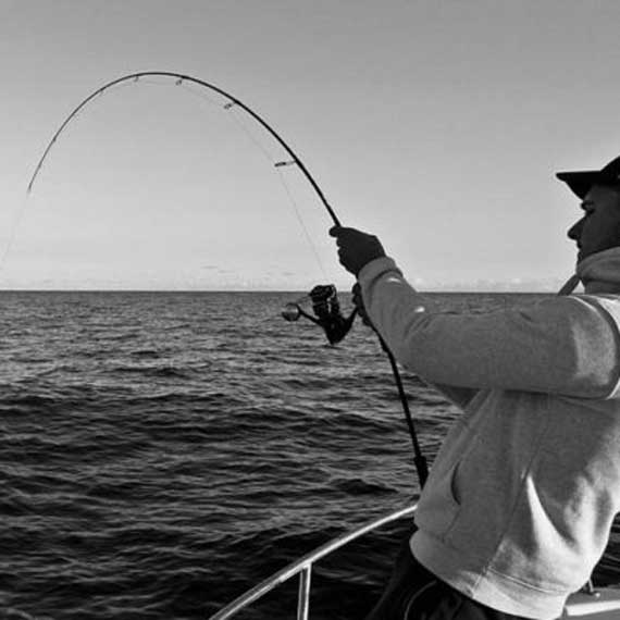 daiwa_x45_teknolojisi.jpg (38 KB)