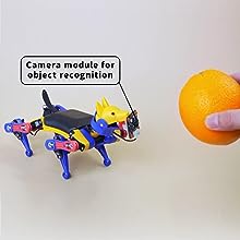 bittle x açık kaynaklı programlanabilir robot köpek, turuncuyu tanımak için akıllı kamera modülünü kullanır