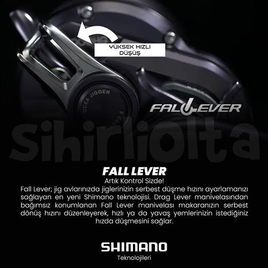 fall lever.jpg (46 KB)