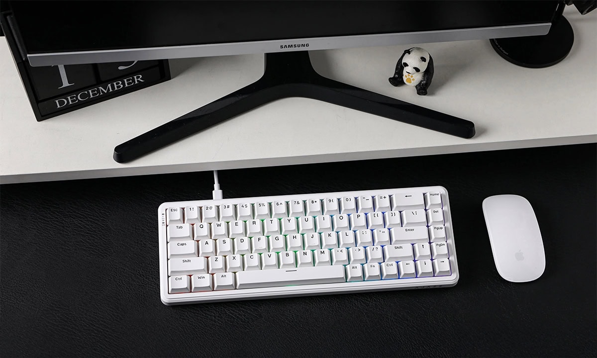 Kişiselleştirilmiş Bir Kurulum için Canlı RGB Aydınlatma