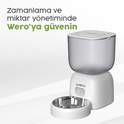 Zamanlama ve Miktar Yönetiminde Wero’ya Güvenin!