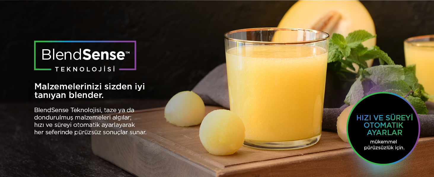 Ninja Detect Duo Blendsense TB301