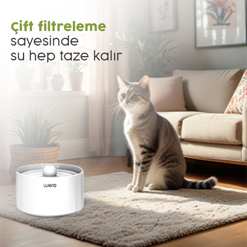 Çift Filtreleme