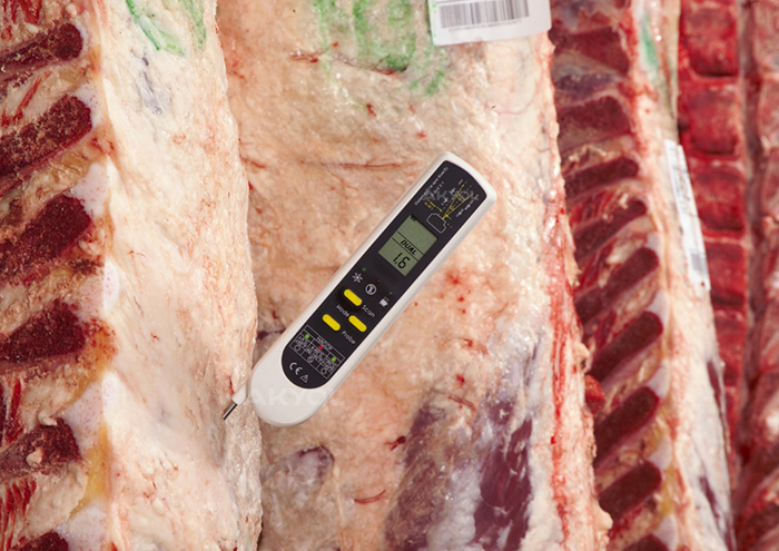 TFA 1119 Saplamalı Termometre