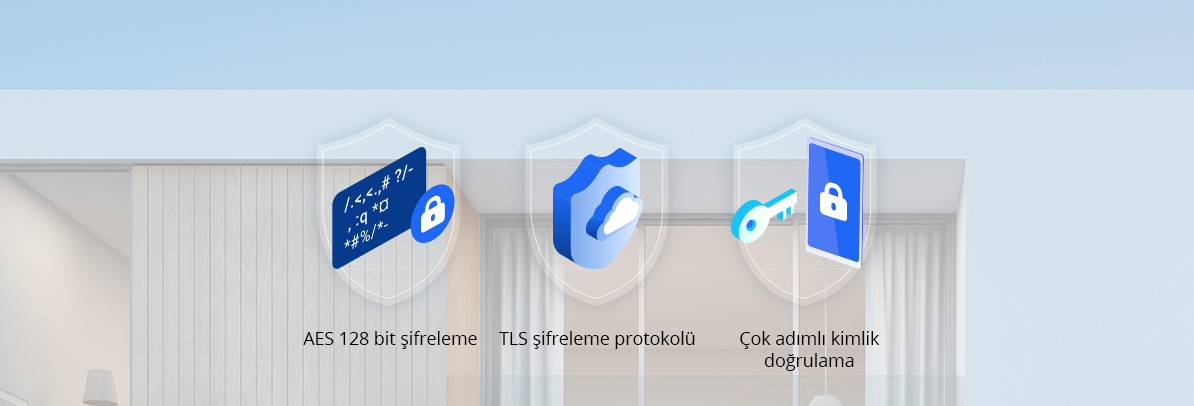 CS-DP2C