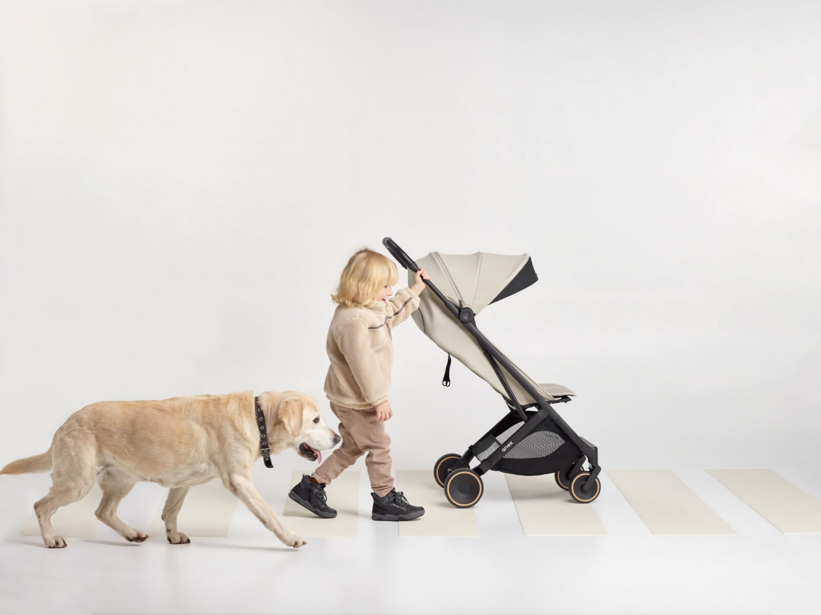 67166_2800px.jpg (75 KB)