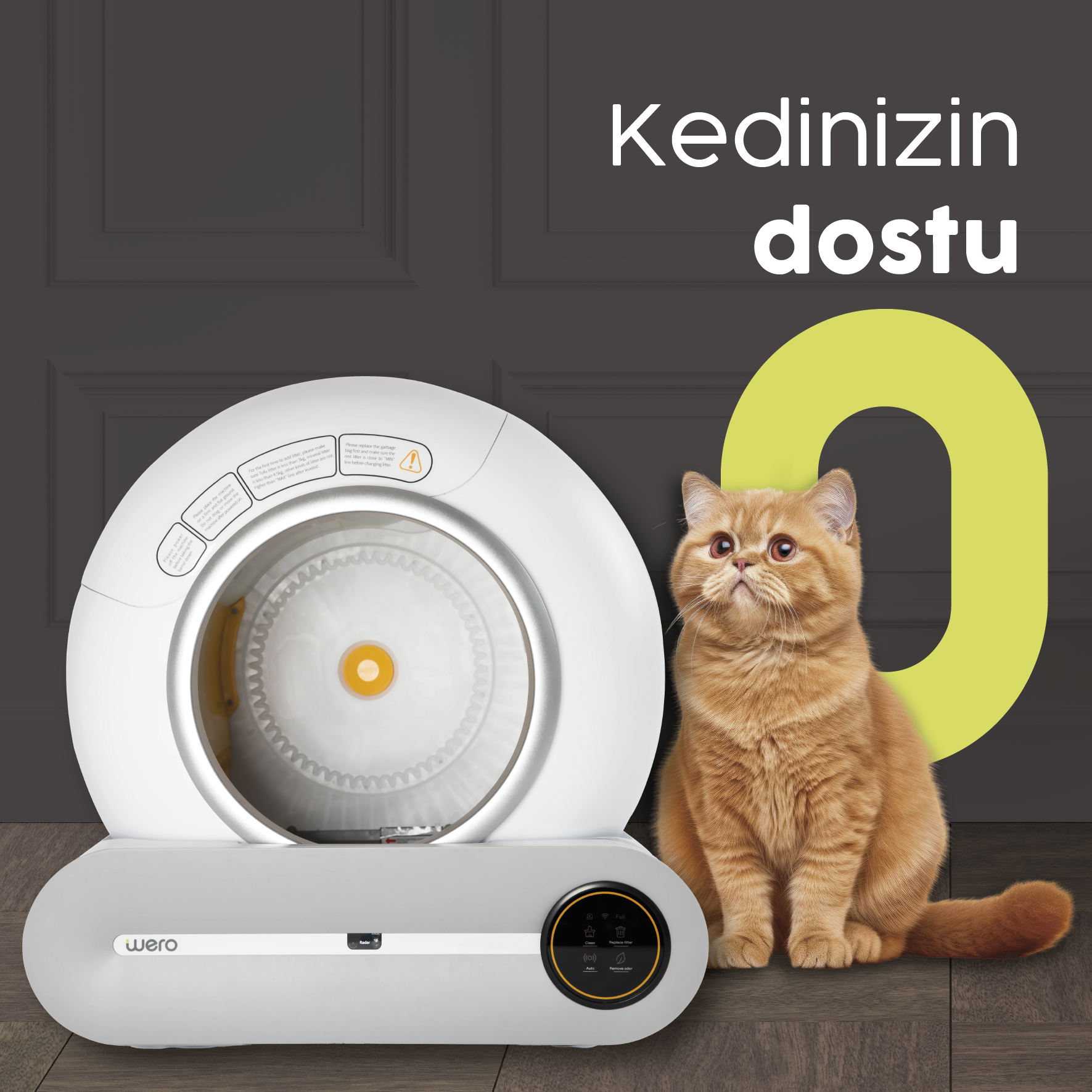 Kedinizin Dostu O