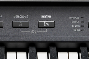 CUP-P1-Rhythms.jpg