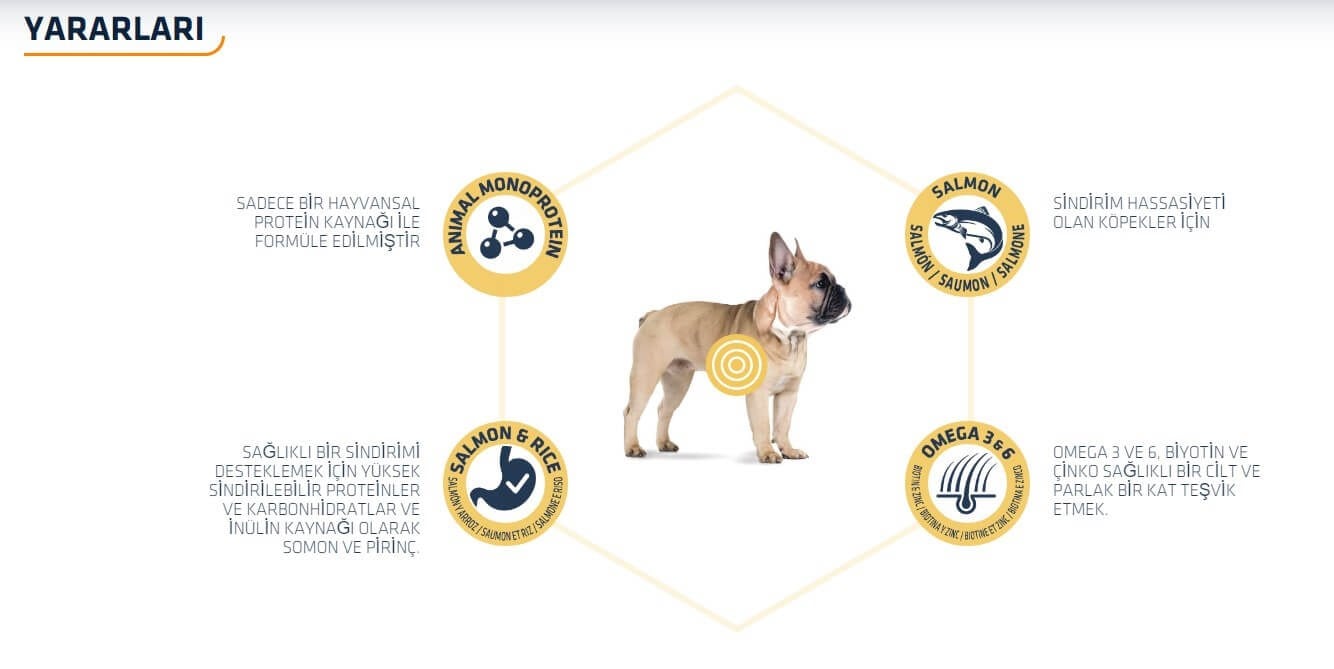 Advance Mini Sensitive Somonlu Küçük Irk Yetişkin Köpek Maması 