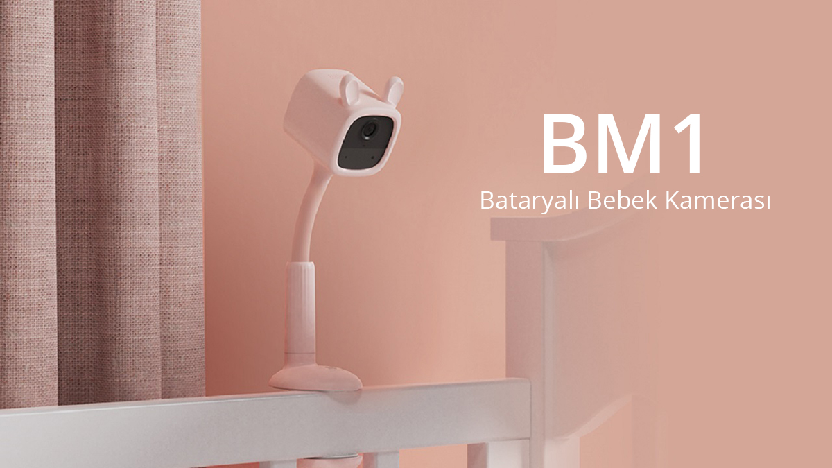 BM1