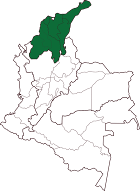 Volcan Kahvesi Haritası