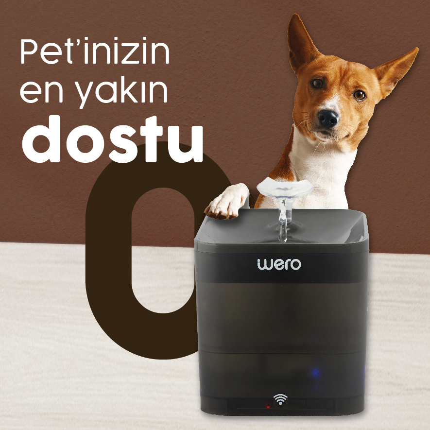 Evcil Hayvanlarınıza Özel Ayarlar