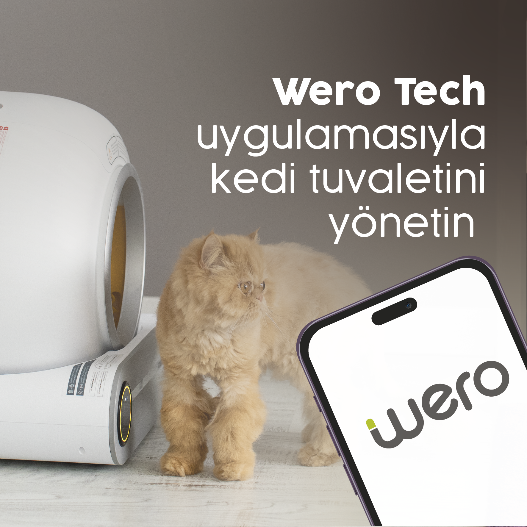 Mobil Uygulama İle Kontrol