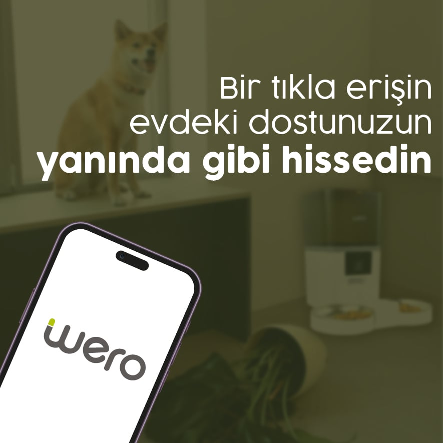 Tek Tıkla Erişim