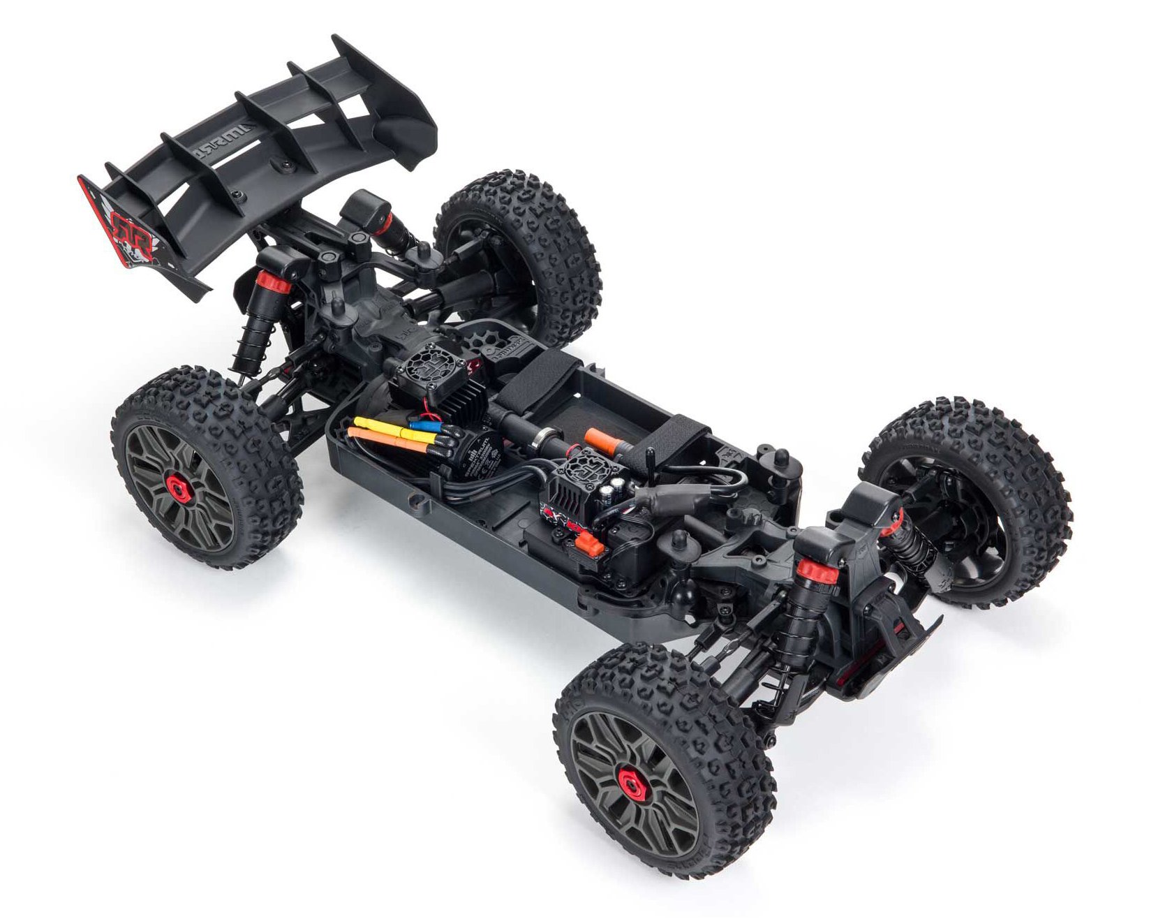 Amphicyon Chassis Photo