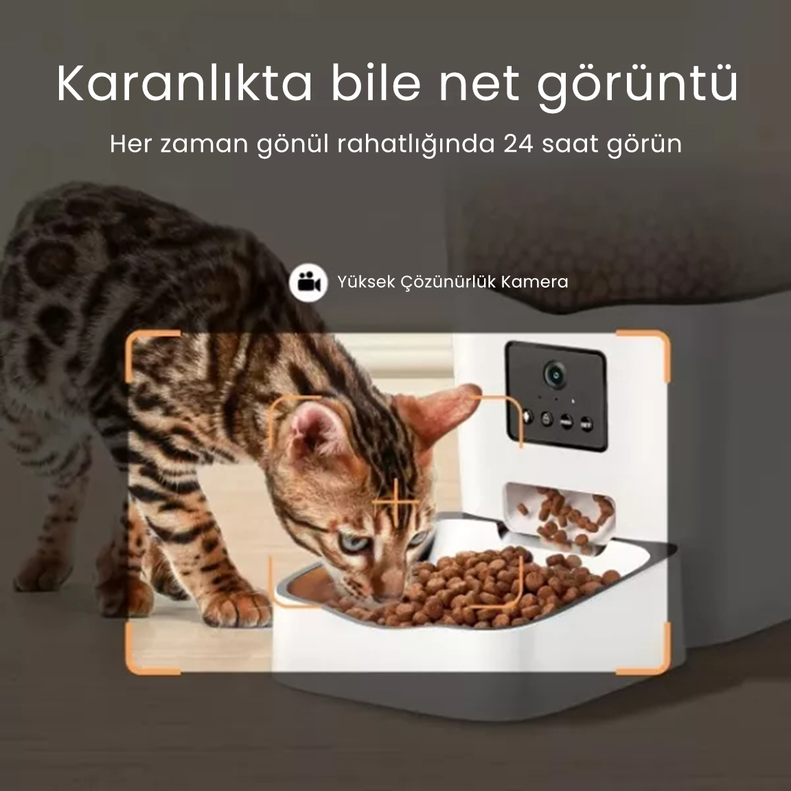 PETFİT