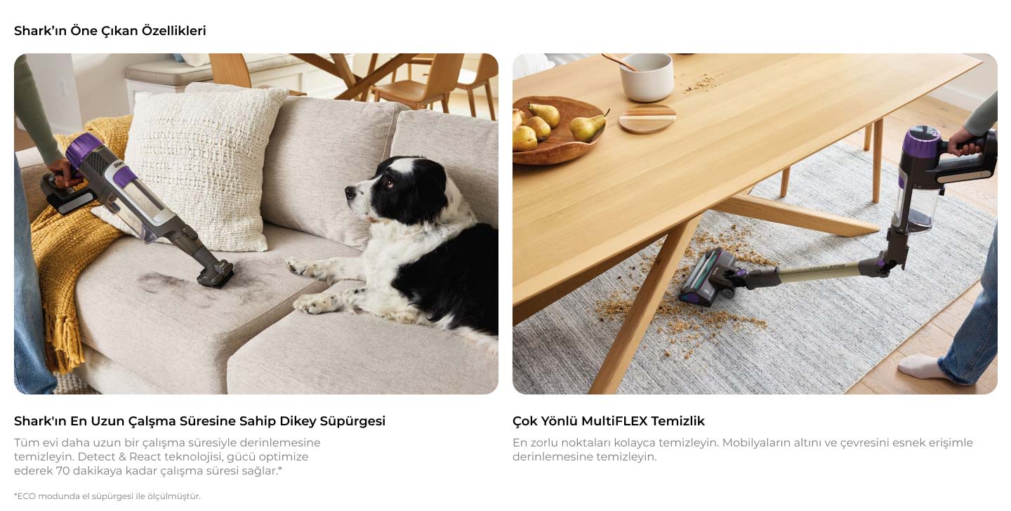 İki bölmeli resim: Birinde, koltukta yatan köpek yanında koltuk temizleniyor. Diğerinde, halı üzerindeki kırıntılar elektrik süpürgesiyle temizleniyor.